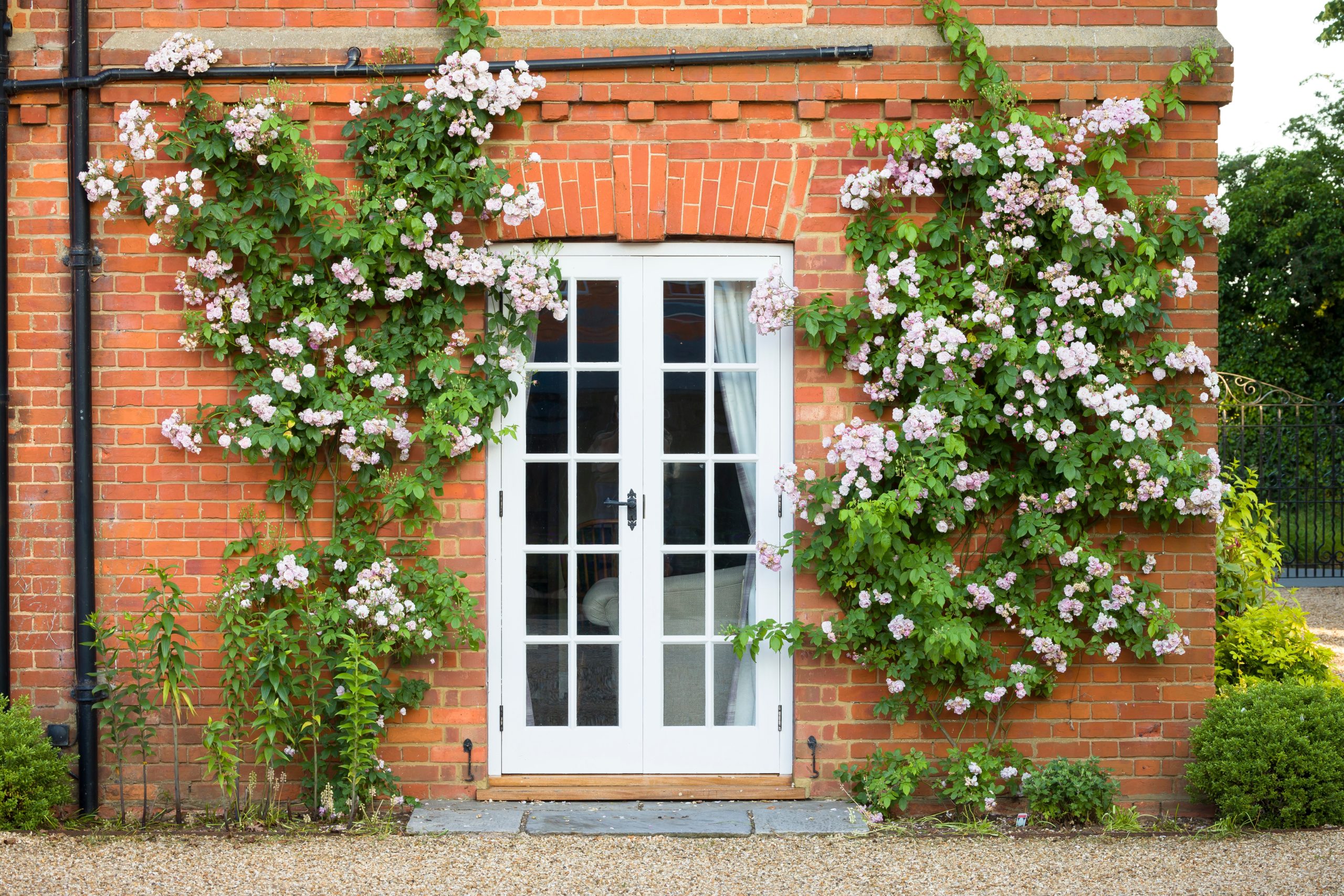 French Doors
