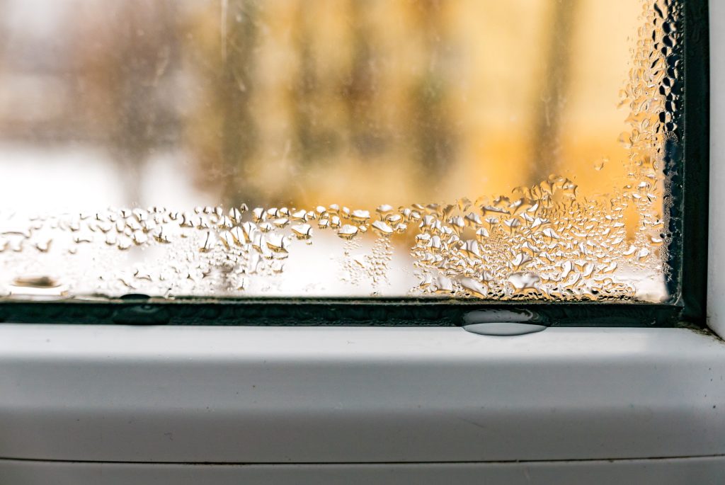 shutterstock 2673018003 Window Condensation
